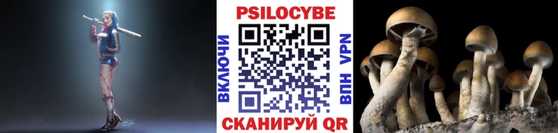 Псилоцибиновые грибы Cubensis  Артёмовский 